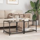 Salontafel set 2 stuks zwart glas 50x50x40 cm staal