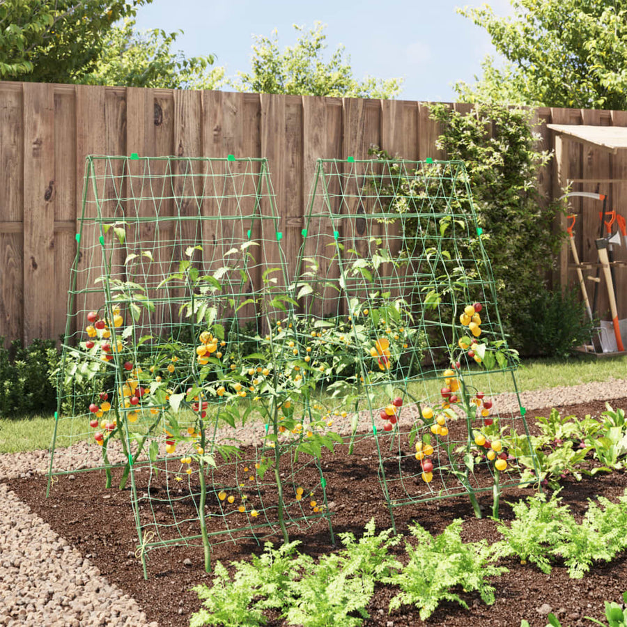 Plantenklimrekken 2 st A-frame staal