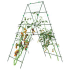 Plant supports 2 pcs A-frame steel