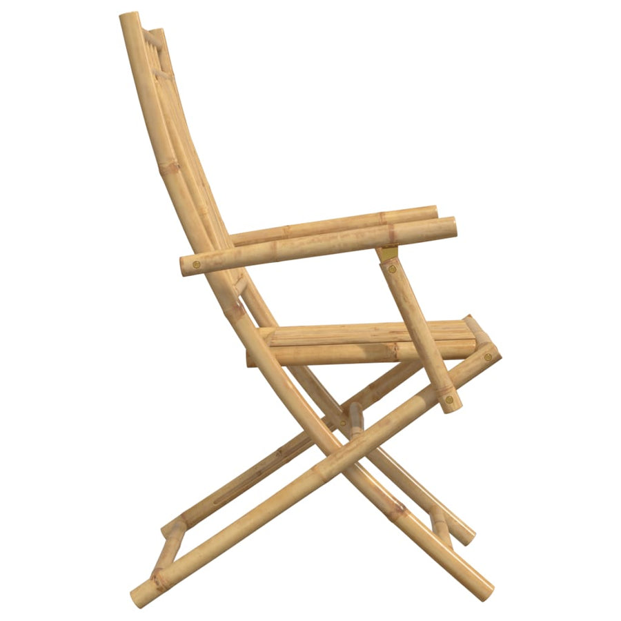 Tuinstoelen 2 st inklapbaar 53x66x99 bamboe