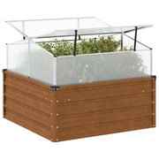 Plantenbak met kas 100x100x77 cm staal