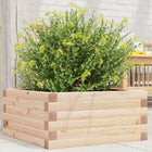 Planter box 50x50x23 cm solid pine wood