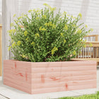 Plantenbak 60x60x23 cm douglashout