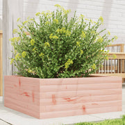 Plantenbak 60x60x23 cm douglashout