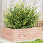 Planter 70x70x23 cm solid Douglas fir