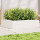 Planter 90x90x23 cm solid pine white
