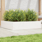 Planter box 100x100x23 cm solid pine white