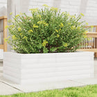 Planter box 70x40x23 cm solid pine white