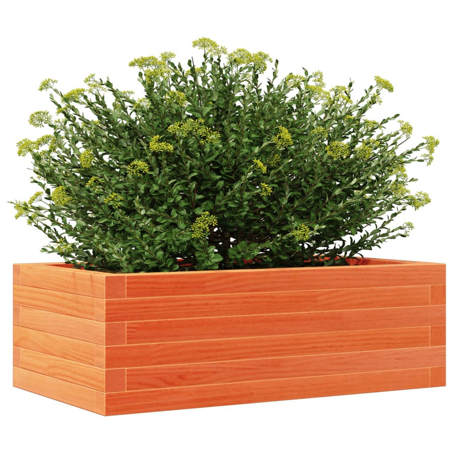 Plantenbak 70x40x23 cm massief grenenhout wasbruin