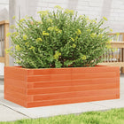 Planter box 70x40x23 cm solid pine waxed brown