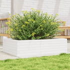 Planter 90x60x23 cm solid pine white