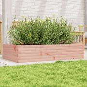 Plantenbak 110x60x23 cm douglashout