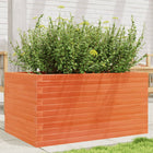 Planter 90x60x45.5 cm solid pine wax brown