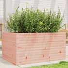 Planter 90x60x45.5 cm solid Douglas fir