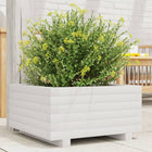 Planter 50x50x26.5 cm solid pine wood white