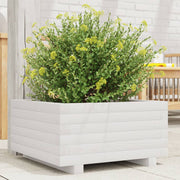 Plantenbak massief grenenhout 50x50x26,5 cm wit