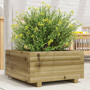 Plantenbak 50x50x26,5 cm grenenhout