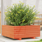 Planter 60x60x26.5 cm solid pine wax brown