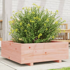 Planter box 70x70x26.5 cm solid Douglas fir