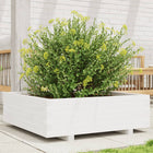 Planter 80x80x26.5 cm solid pine wood white
