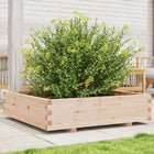 Planter 100x100x26.5 cm solid pine