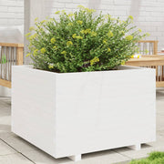 Plantenbak massief grenenhout 70x70x49,5 cm wit