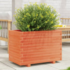 Planter 70x40x49.5 cm solid pine wax brown