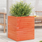 Planter 40x40x46 cm solid pine wax brown