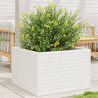 Planter 70x70x46 cm solid pine white