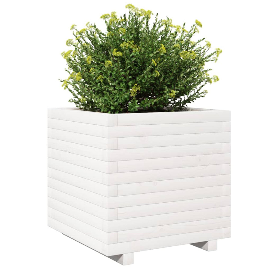 Plantenbak 50x50x49,5 cm massief grenenhout wit