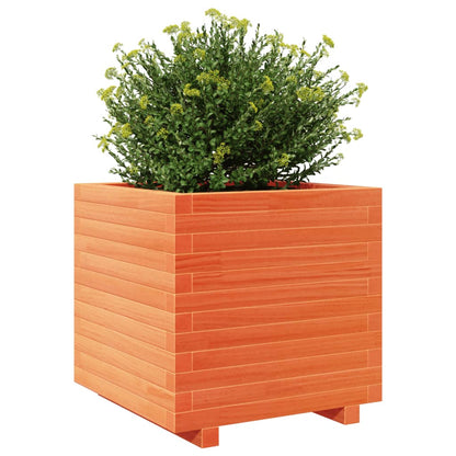 Plantenbak 50x50x49,5 cm massief grenenhout wasbruin