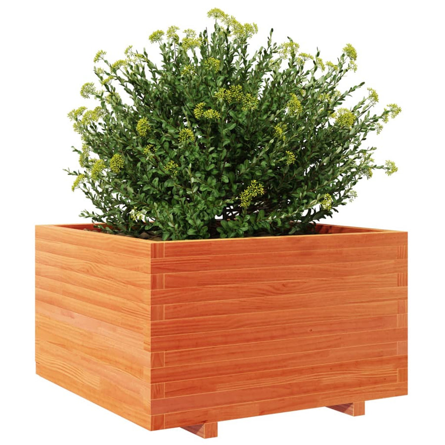 Plantenbak 80x80x49,5 cm massief grenenhout wasbruin