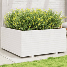 Plantenbak 100x100x49,5 cm massief grenenhout wit