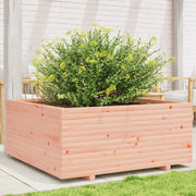 Plantenbak 110x110x49,5 cm douglashout