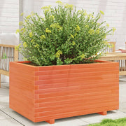 Plantenbak massief grenenhout 90x60x49,5 cm wasbruin