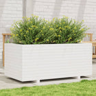 Planter box 110x60x49.5 cm solid pine wood white