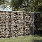 Gabion 100x50x100 cm galvanized iron silver-colored