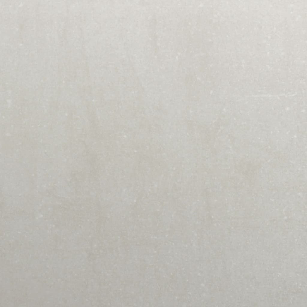 Haardhoutrek 100x40x80 cm roestvrij staal