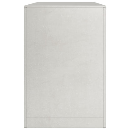 Haardhoutrek 100x40x60 cm roestvrij staal