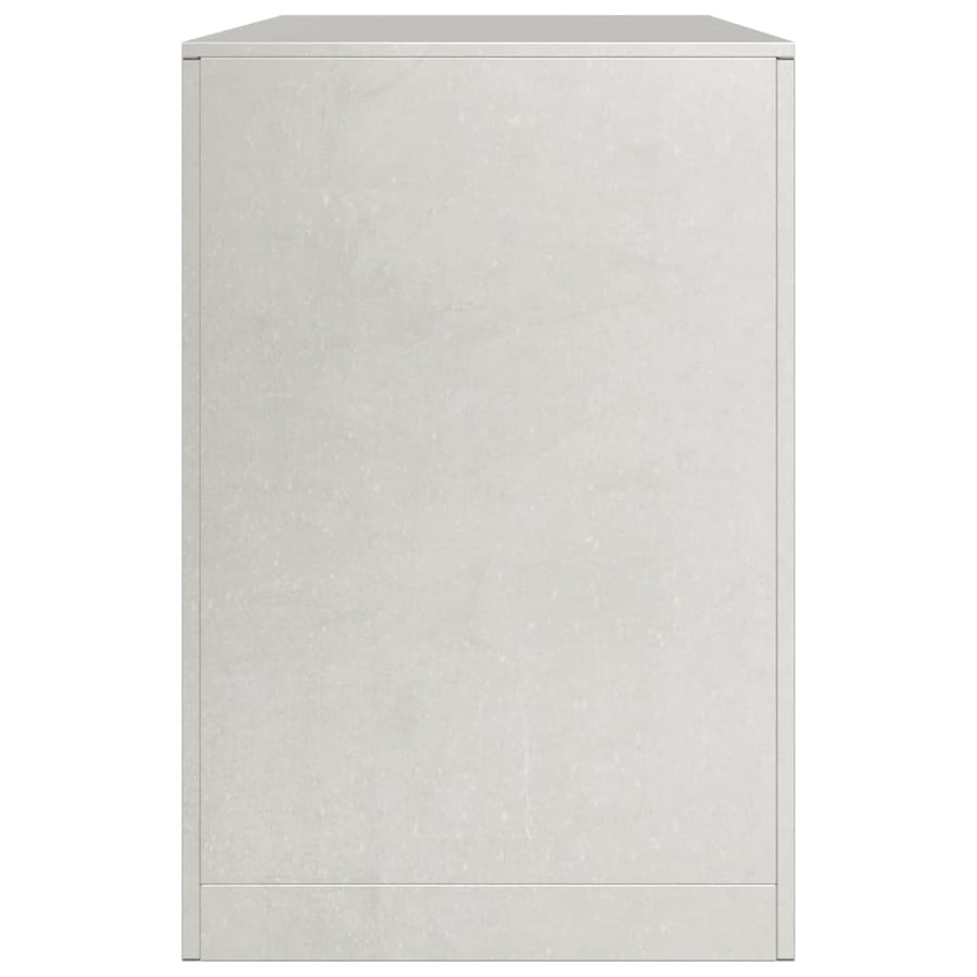 Haardhoutrek 100x40x60 cm roestvrij staal