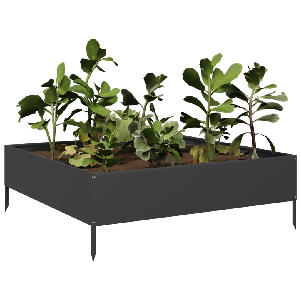Plantenbak verhoogd 100x100x33,5 cm staal zwart