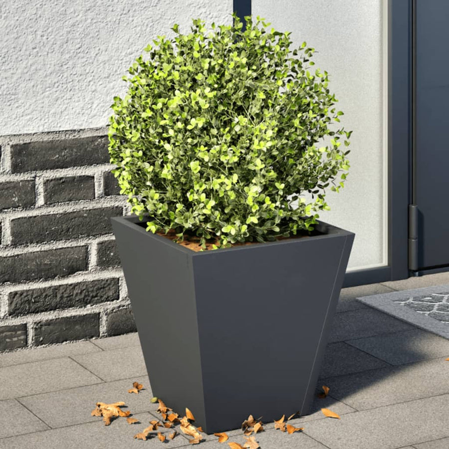 Plantenbakken 2 st 30x30x30 cm staal antracietkleurig