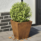 Planters 2 pcs 30x30x30 cm weather-resistant steel