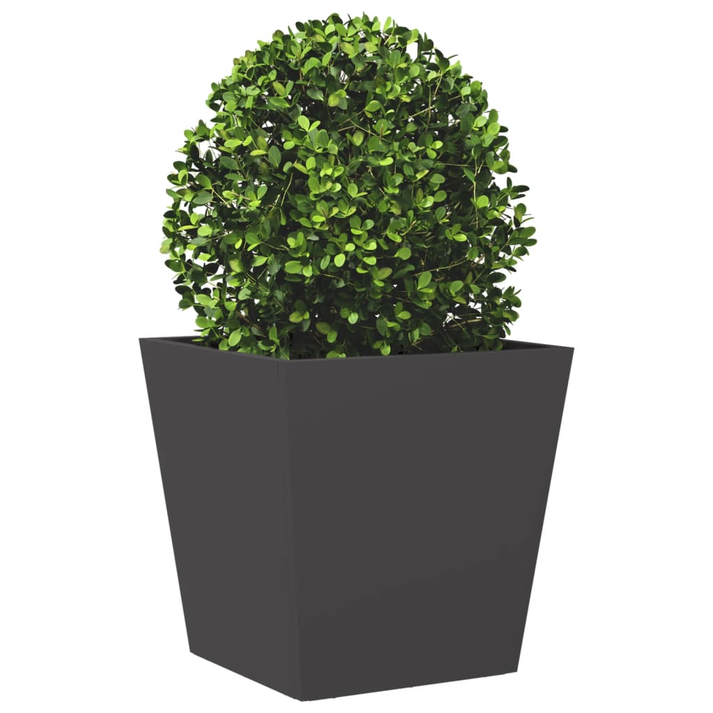 Plantenbakken Staal Zwart 2