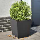 Plantenbak staal 2 stuks zwart