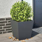 Planters 2 pcs 40x40x40 cm steel anthracite