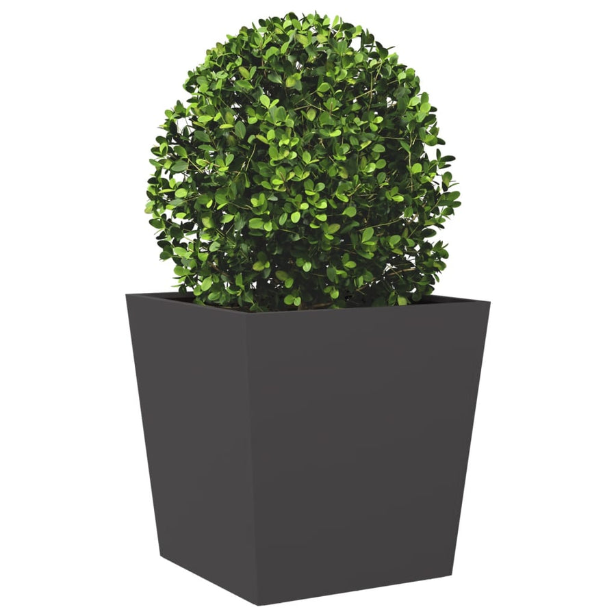Plantenbak 50x50x50 cm staal zwart
