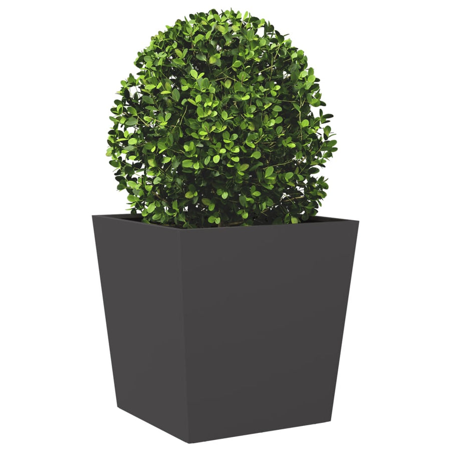 Plantenbakken 2 st 50x50x50 cm staal zwart