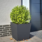 Planter 50x50x50 cm steel anthracite