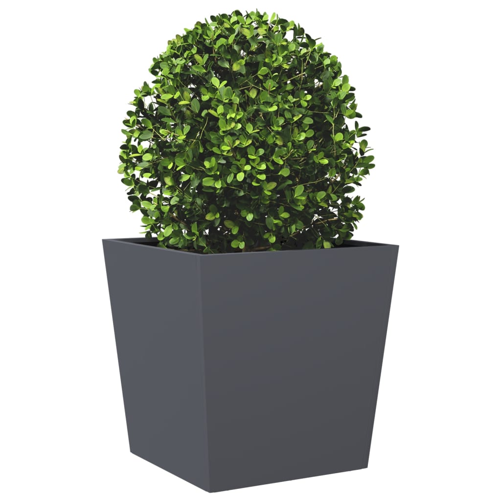 Plantenbakken 2 st 50x50x50 cm staal antracietkleurig